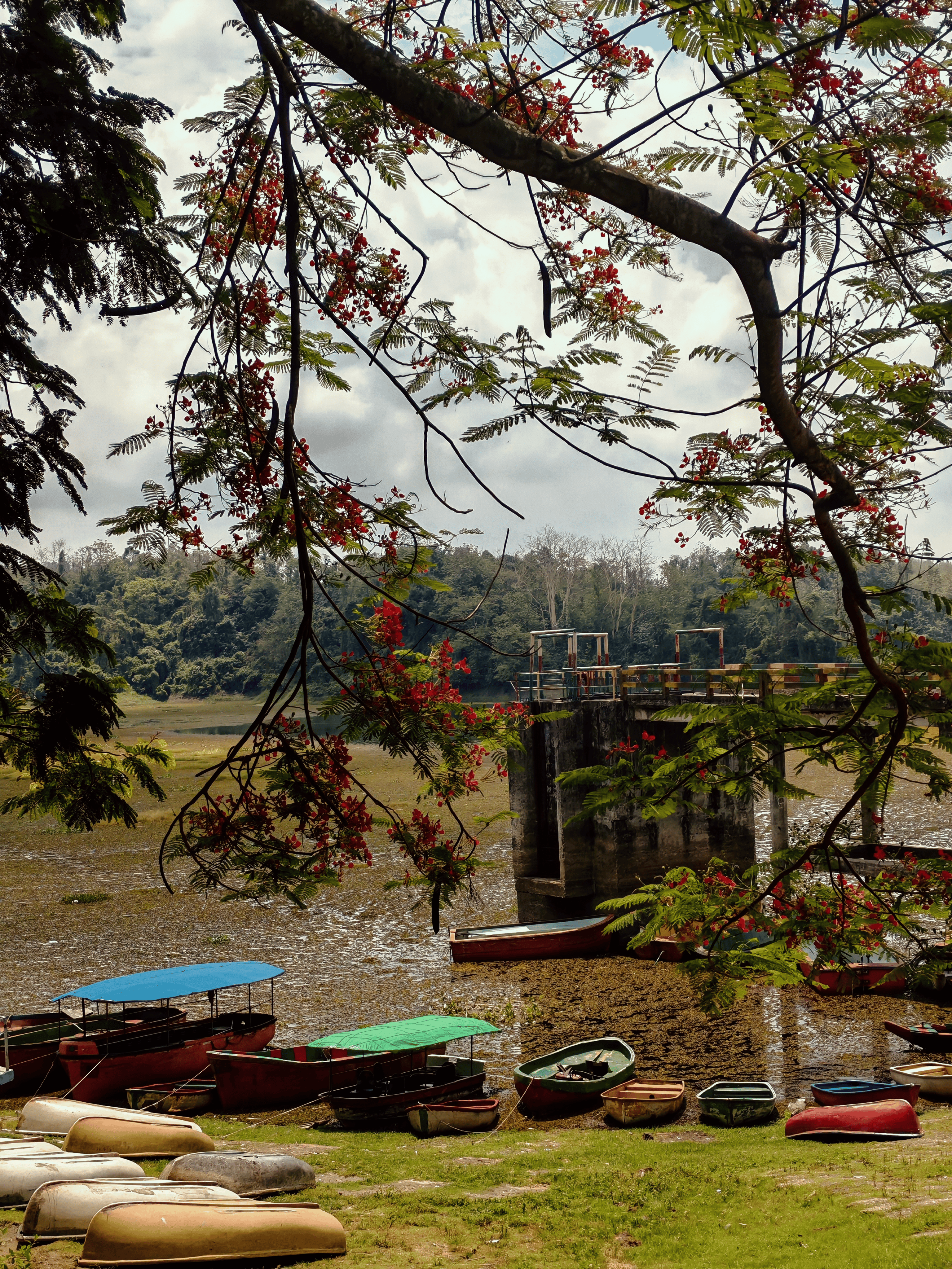 A Play of Colors by the Lake