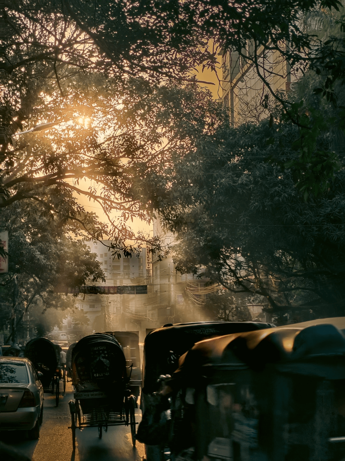 City Arteries: Twilight