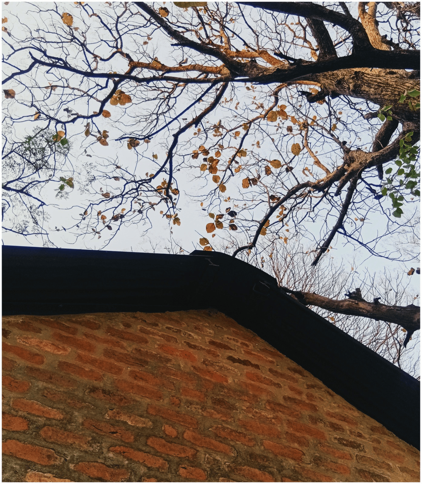 Design of Heritage