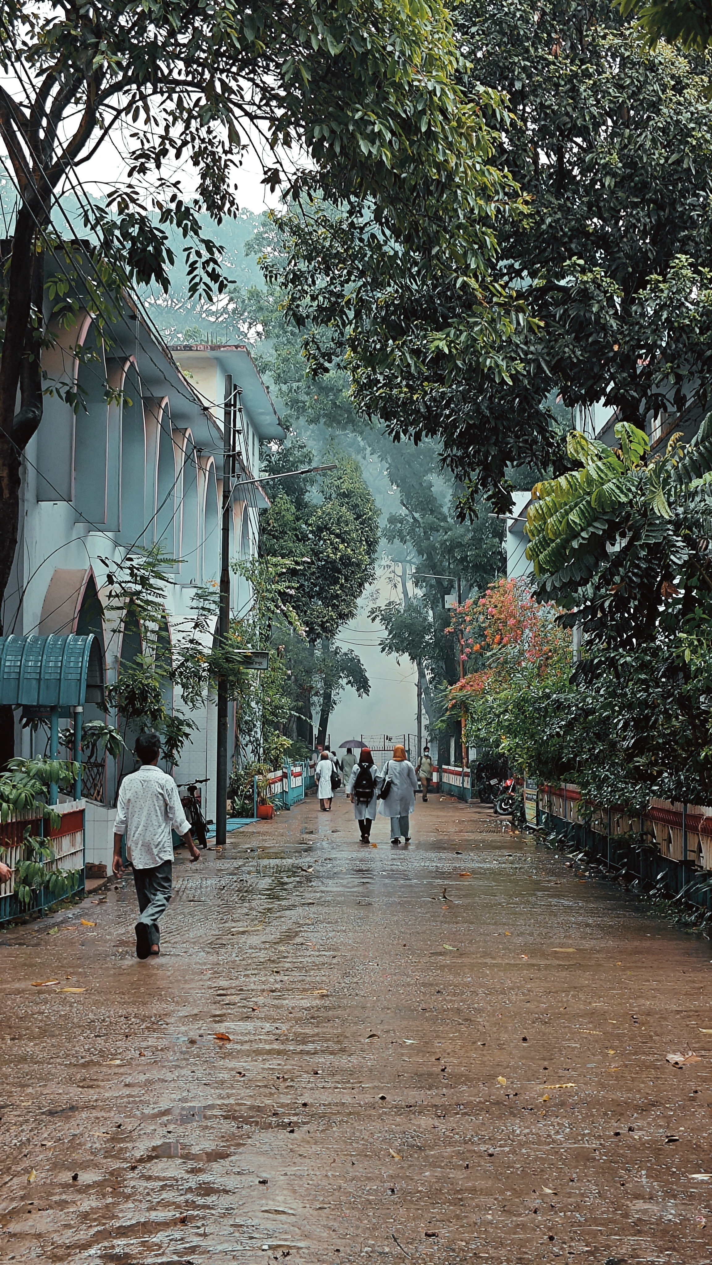 Campus of Monsoon