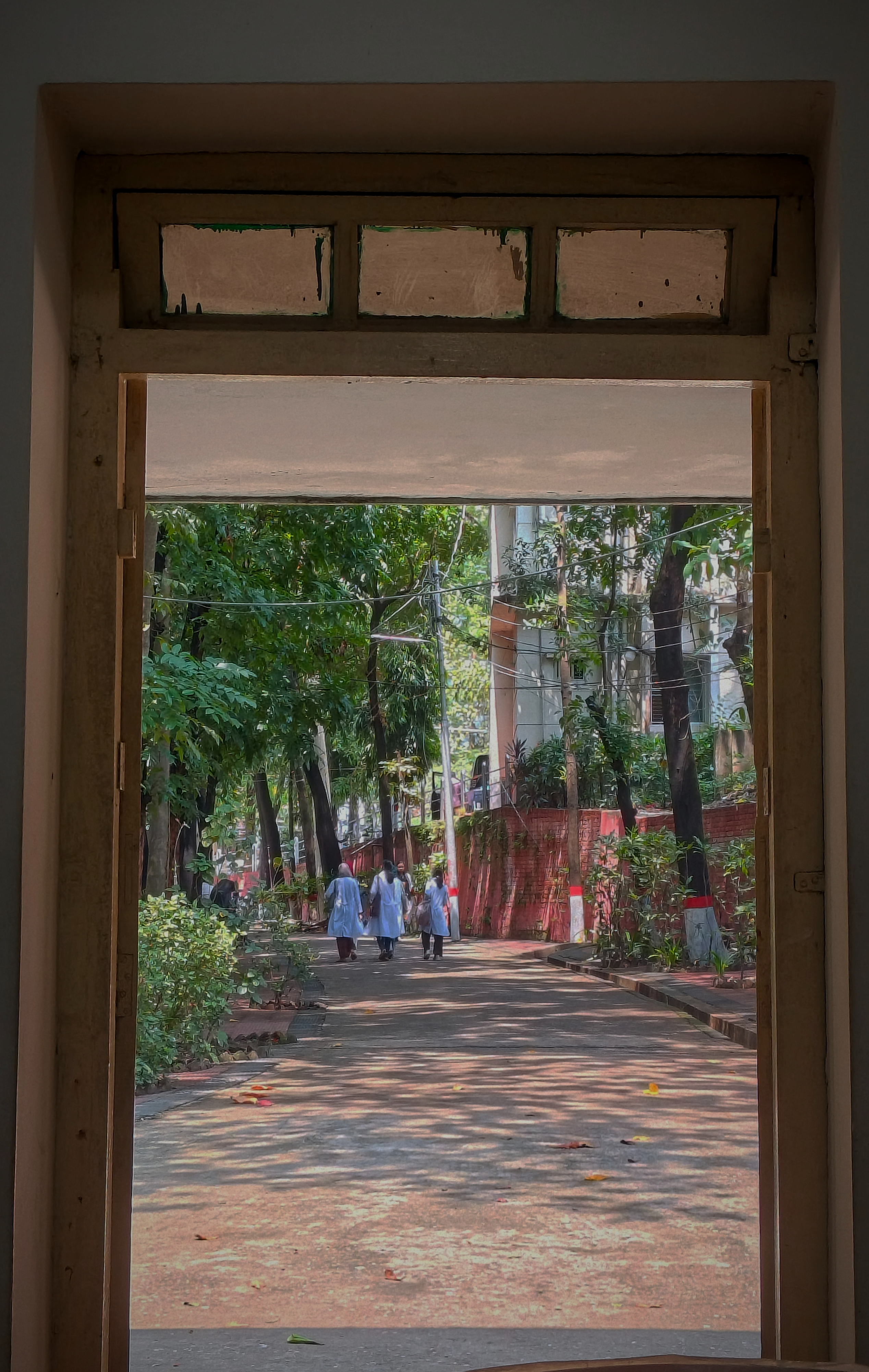 Through the Doorway