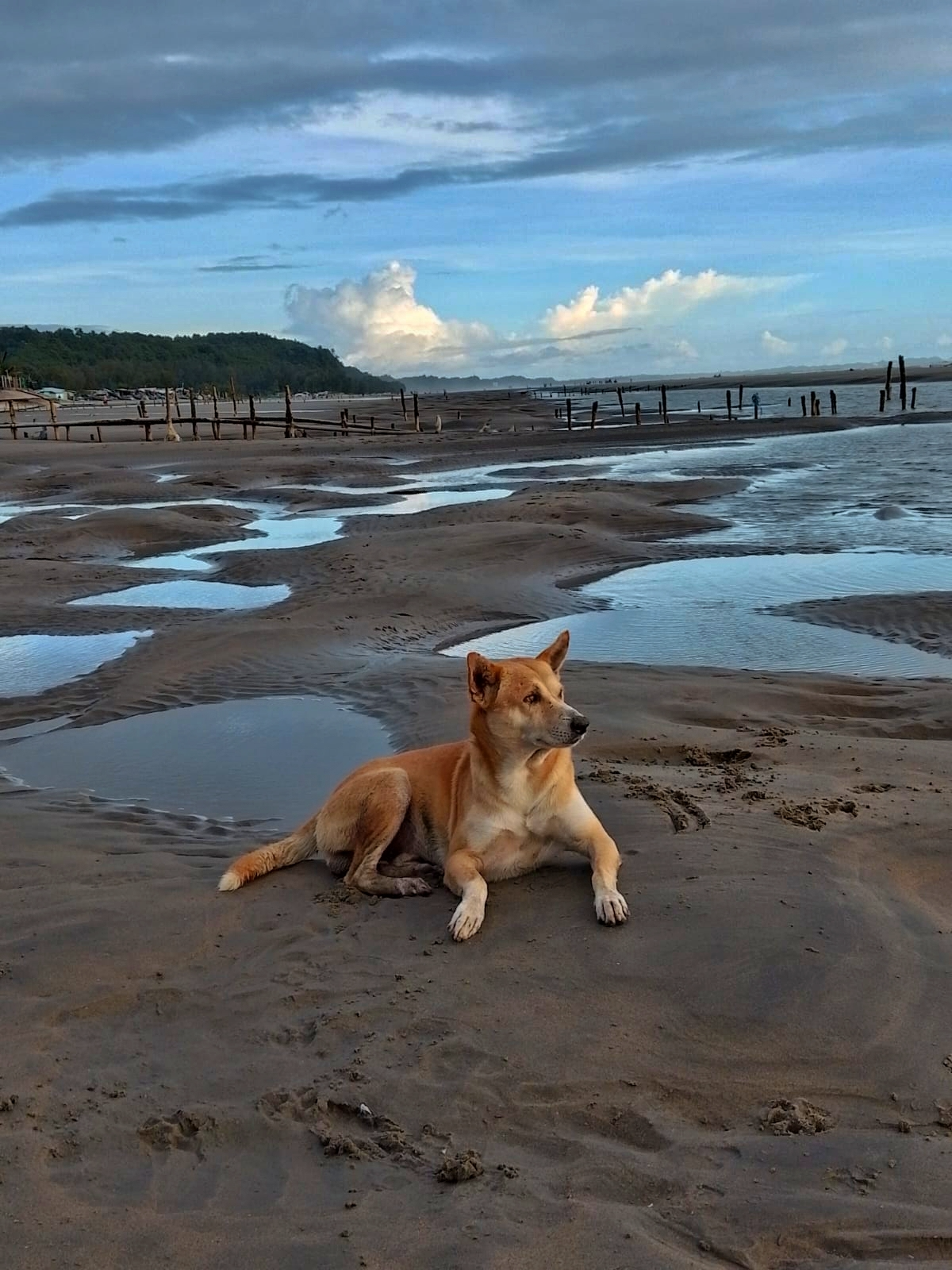 Sandbar of Waiting