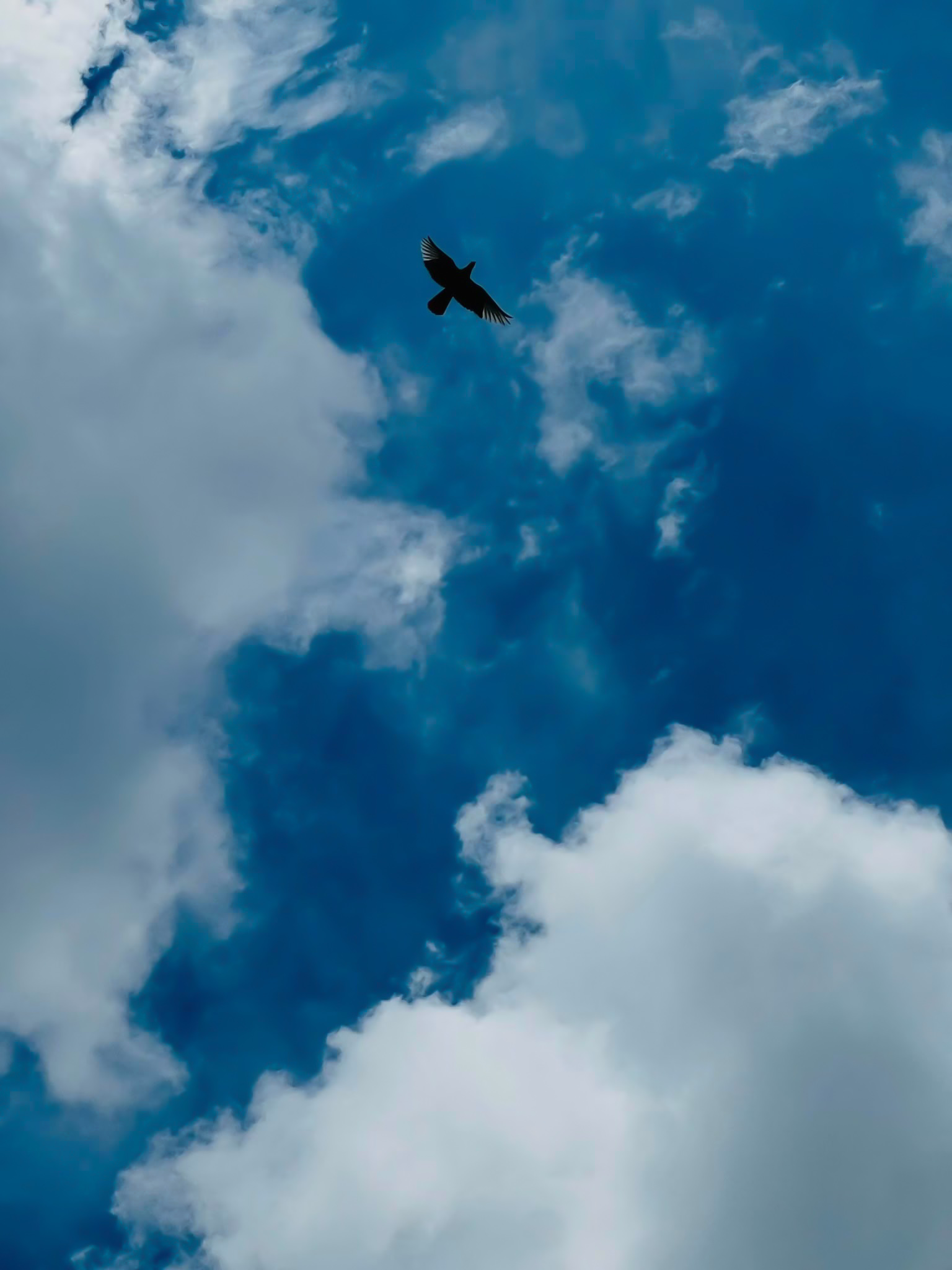 Flight Through the Azure